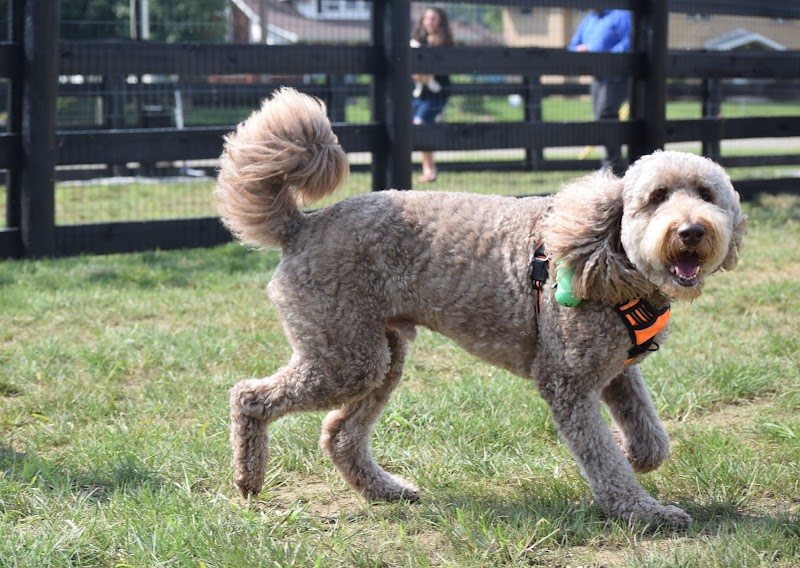 Canal Run Dog Park - Miamisburg, OH