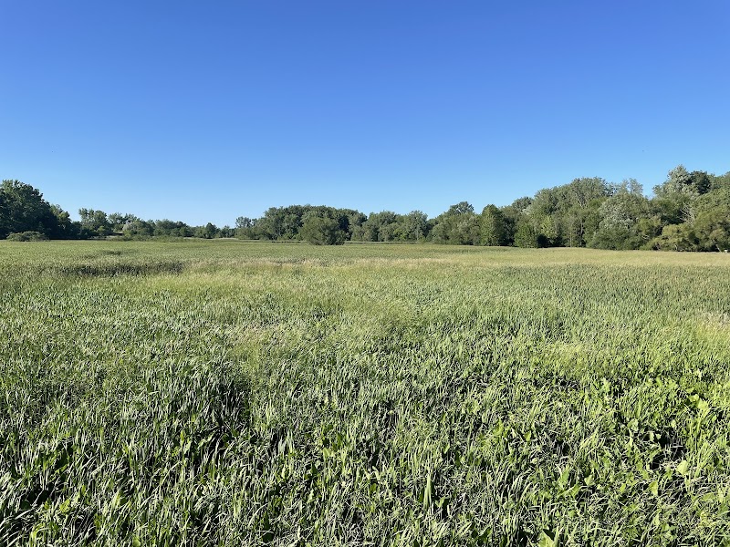 Lake Abram Metropolitan Reservation - Middleburg Heights, OH