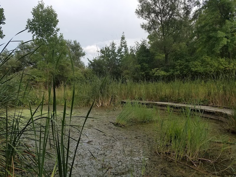 Lake Abram Metropolitan Reservation - Middleburg Heights, OH