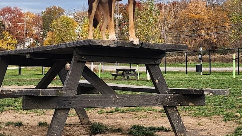 Tri-City Bark Park - Middleburg Heights, OH