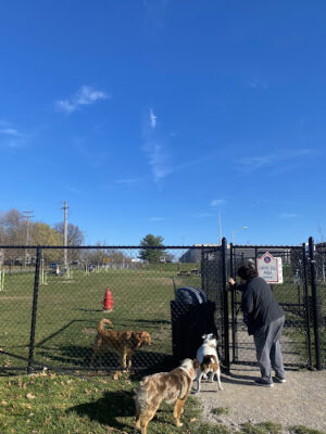 Tri-City Bark Park