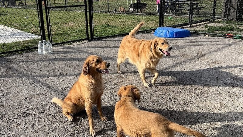 Tri-City Bark Park - Middleburg Heights, OH