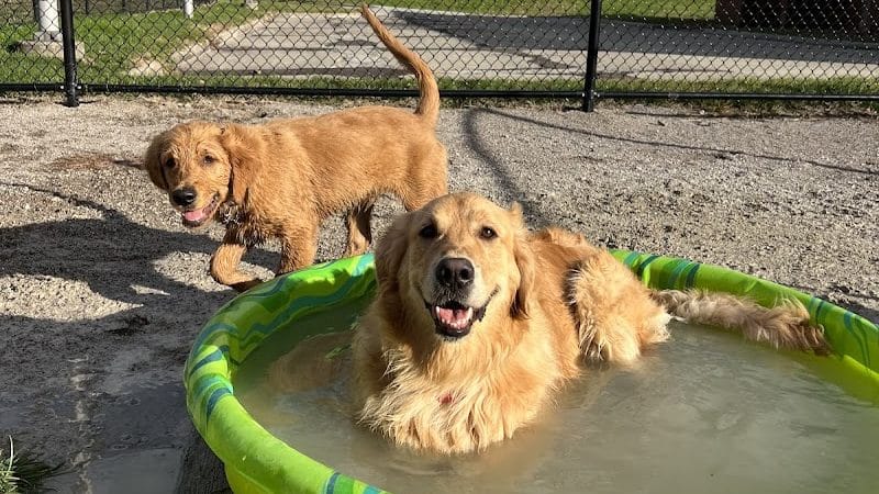 Tri-City Bark Park - Middleburg Heights, OH