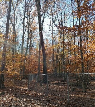 Middlefield Dog Park - Middlefield, CT