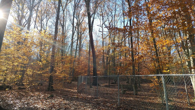 Middlefield Dog Park - Middlefield, CT