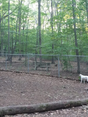 Middlefield Dog Park