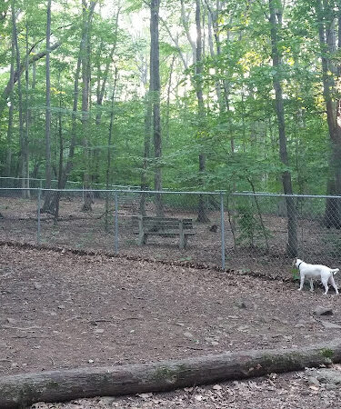 Middlefield Dog Park