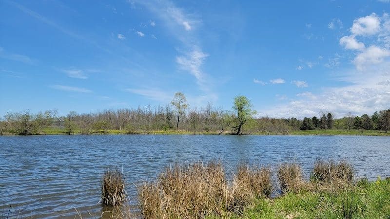 Swine Creek Reservation - Middlefield, OH