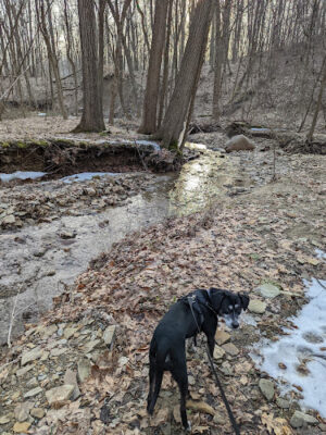 Swine Creek Reservation