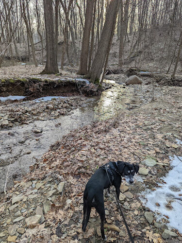 Swine Creek Reservation