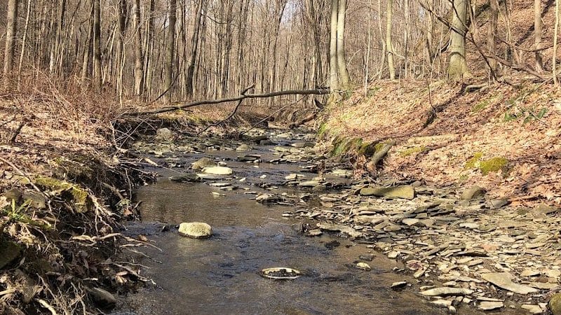 Swine Creek Reservation - Middlefield, OH