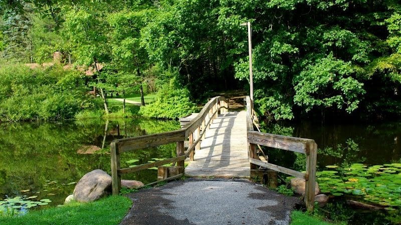 Swine Creek Reservation - Middlefield, OH