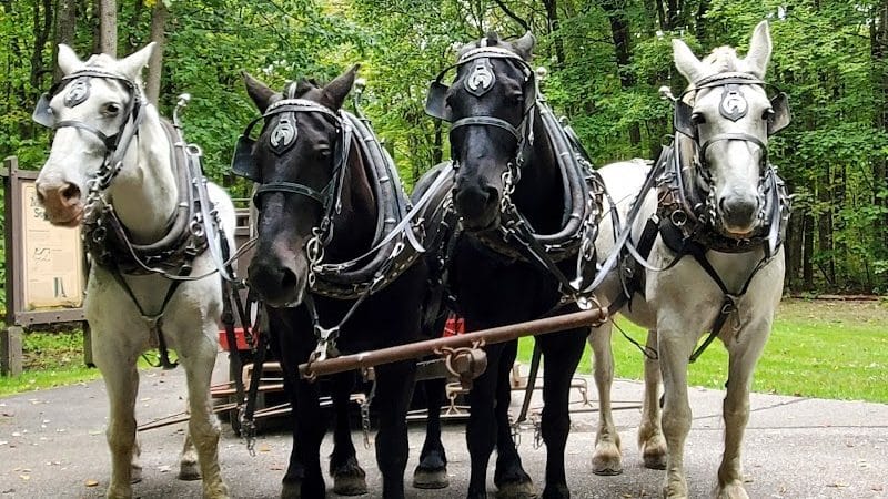 Swine Creek Reservation - Middlefield, OH