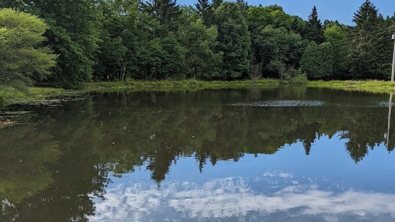 Swine Creek Reservation - Middlefield, OH
