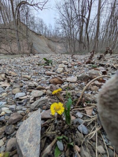 Swine Creek Valley Shelter - Middlefield, OH