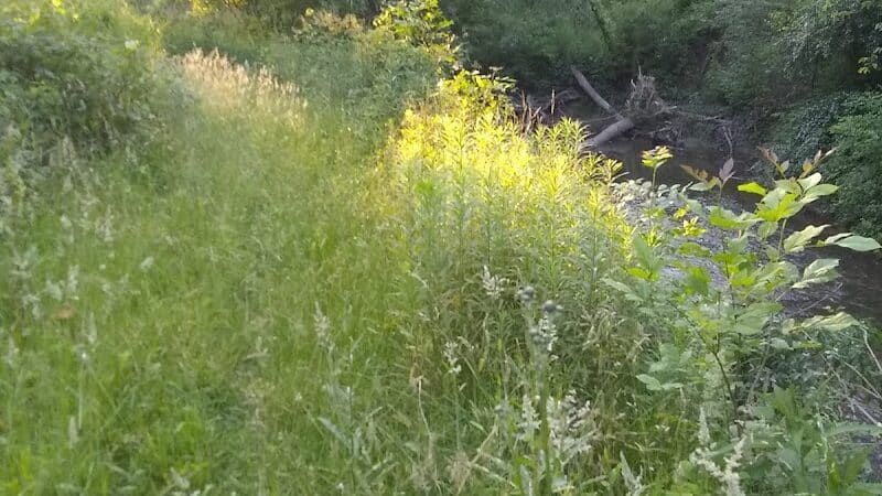 Tare Creek Trailhead (Maple Highlands Trail) - Middlefield, OH