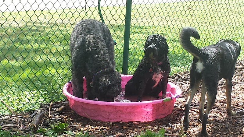 Bark Fitness Pet Care - Middletown, OH