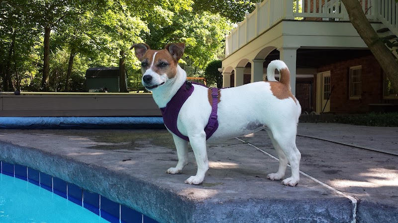Bark Fitness Pet Care - Middletown, OH