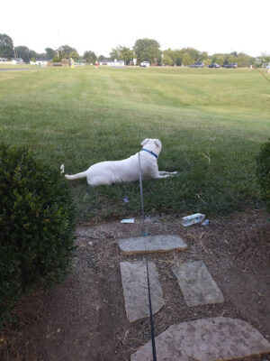 Jacot Park