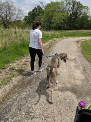 Meadow Ridge MetroPark