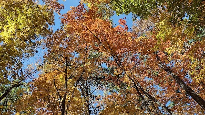 Miami University Nature Trail - Middletown, OH