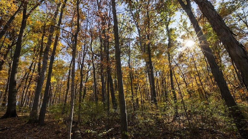 Miami University Nature Trail - Middletown, OH