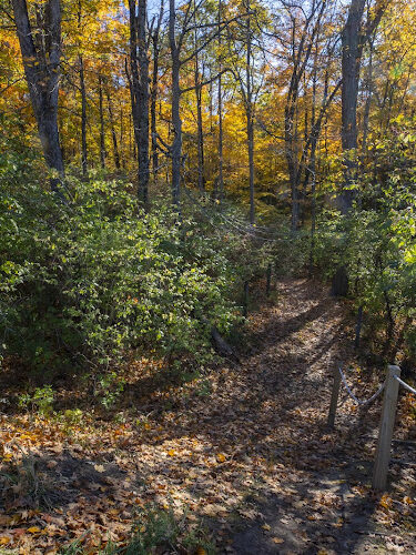 Miami University Nature Trail