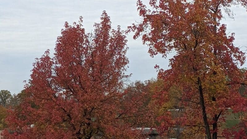Miami University Nature Trail - Middletown, OH