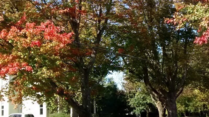 Edison Park - Milan, OH - Milan, OH