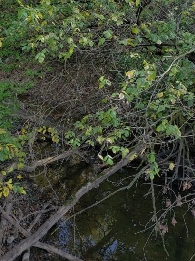 Milan Towpath MetroPark - Milan, OH