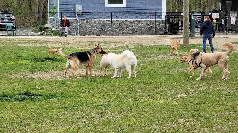 Eisenhower Dog Park - Milford, CT