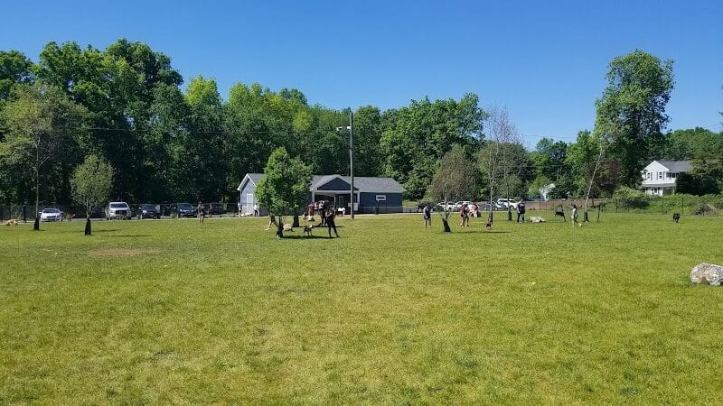 Eisenhower Dog Park - Milford, CT