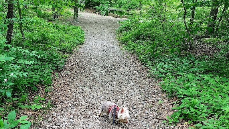 Eisenhower Dog Park - Milford, CT