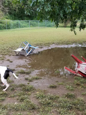 Eisenhower Dog Park