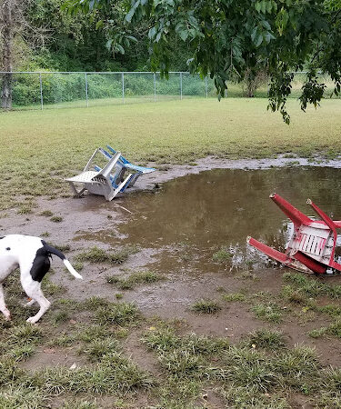 Eisenhower Dog Park