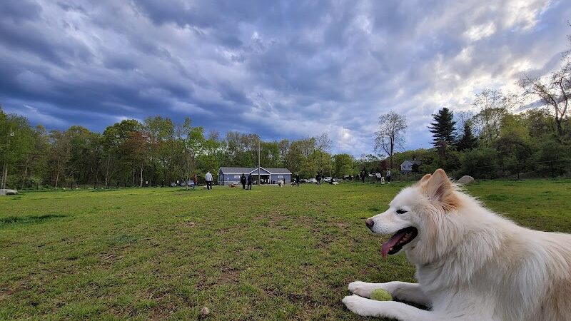 Eisenhower Dog Park - Milford, CT