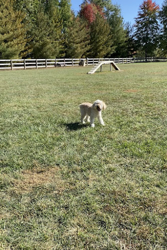 Bark Park at Miami Meadows