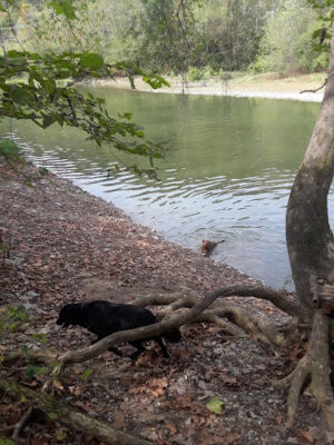 Carriage Way Park