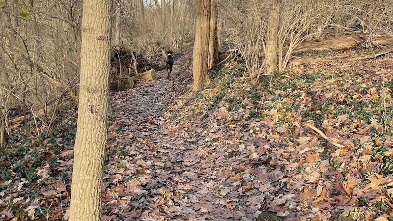 Carriage Way Park - Milford, OH
