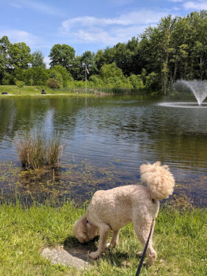 Miami Meadows Park