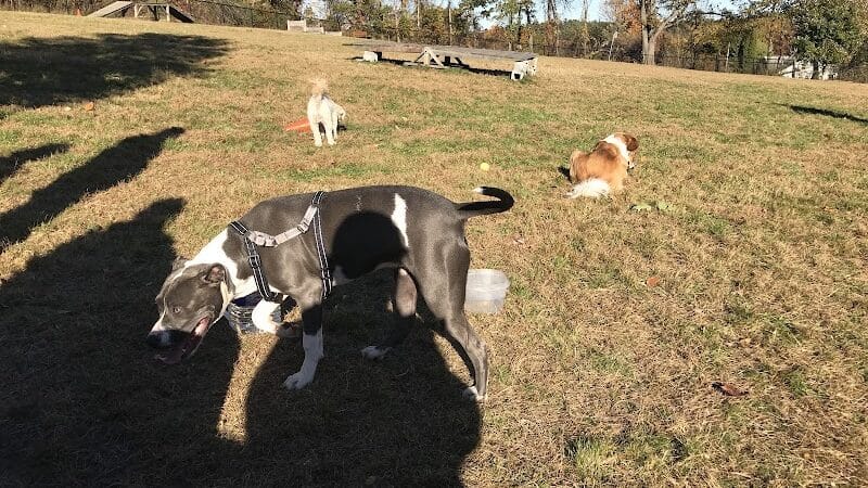 Butler Farm Dog Park - Millbury, MA