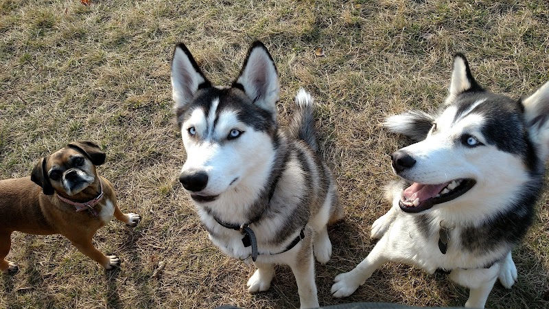 Butler Farm Dog Park - Millbury, MA