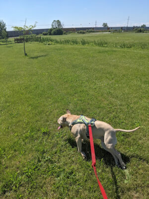 Friendship Park