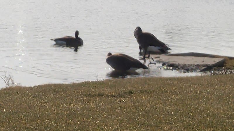 Friendship Park - Millbury, OH