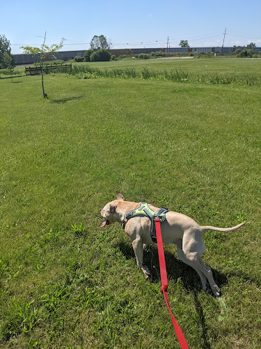 Friendship Park