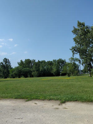 Passive Park