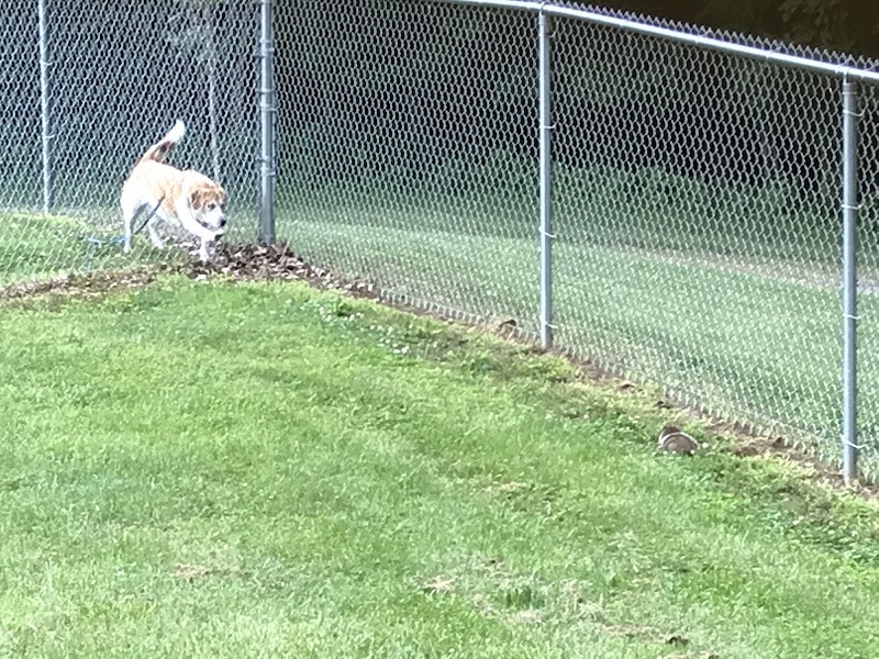 Pampered Paws Dog Park - Millersburg, OH