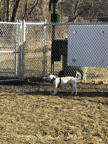 Pampered Paws Dog Park