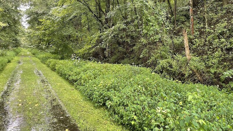 Crowl St. Trailhead - Stark Parks - Minerva, OH
