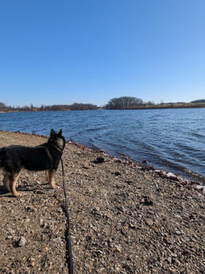 Wingfoot Lake State Park